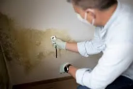 mold remediation nj